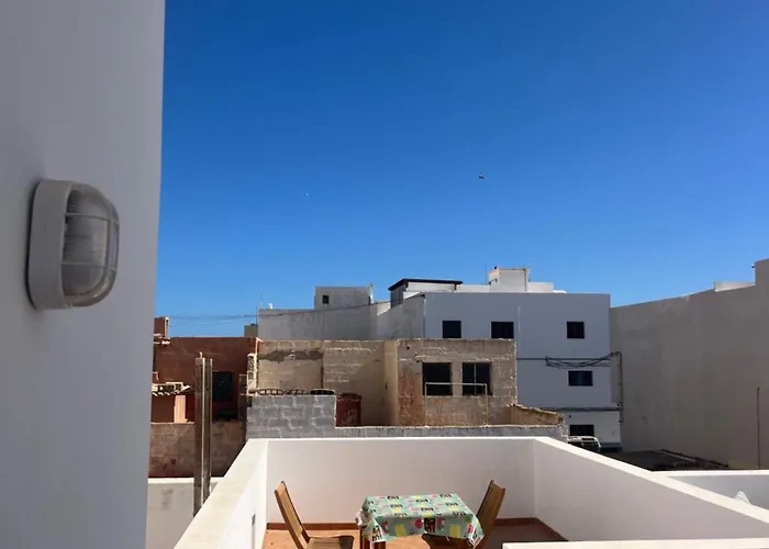 Flora * Пуэрто-дель-Росарио